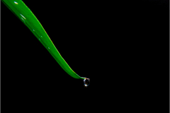 Simplicity - Angus McKay - Advanced 10