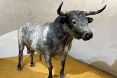 10-Bull-Murcielago-by-John-Baker