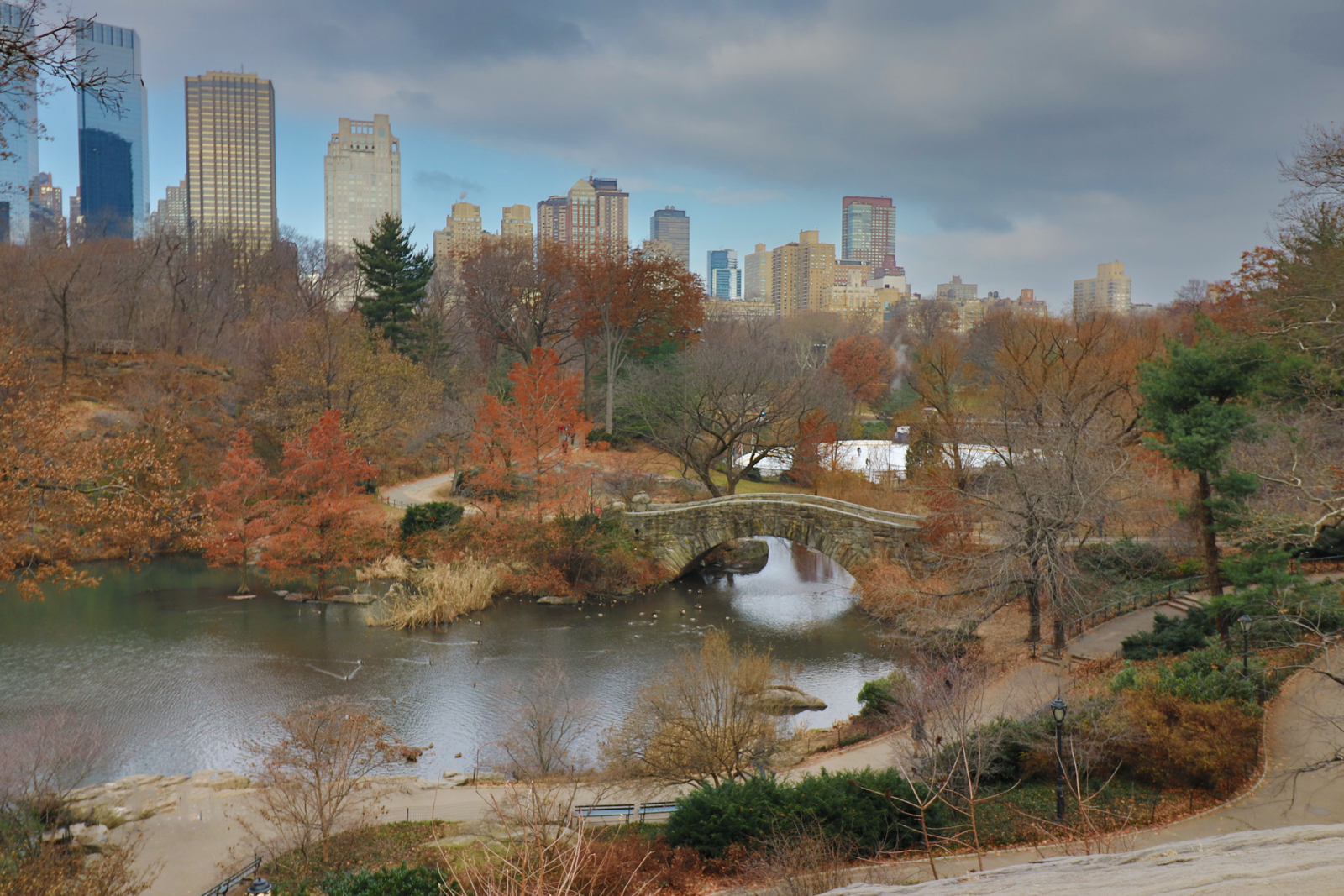 Central-Park-Autumn-by-Mark-Lawson-10-Entry